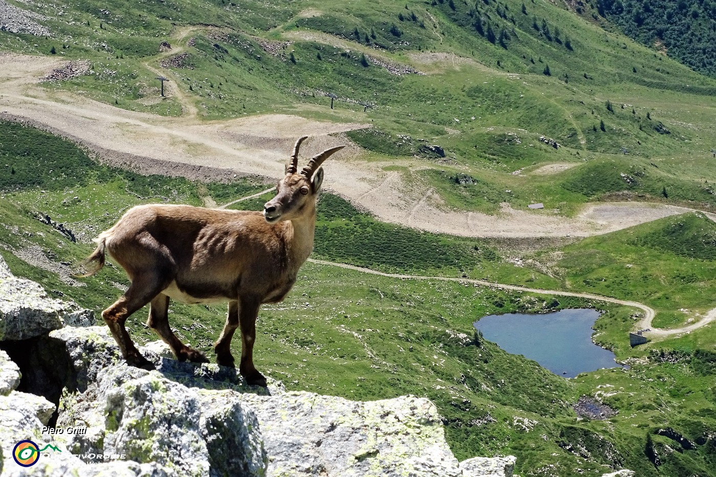 38 Scendono su rocce con vista sulla Val Carisole.JPG